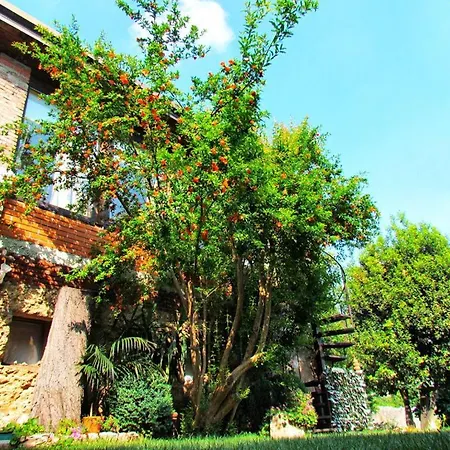 住宿加早餐酒店 La Piccionaia 维罗纳